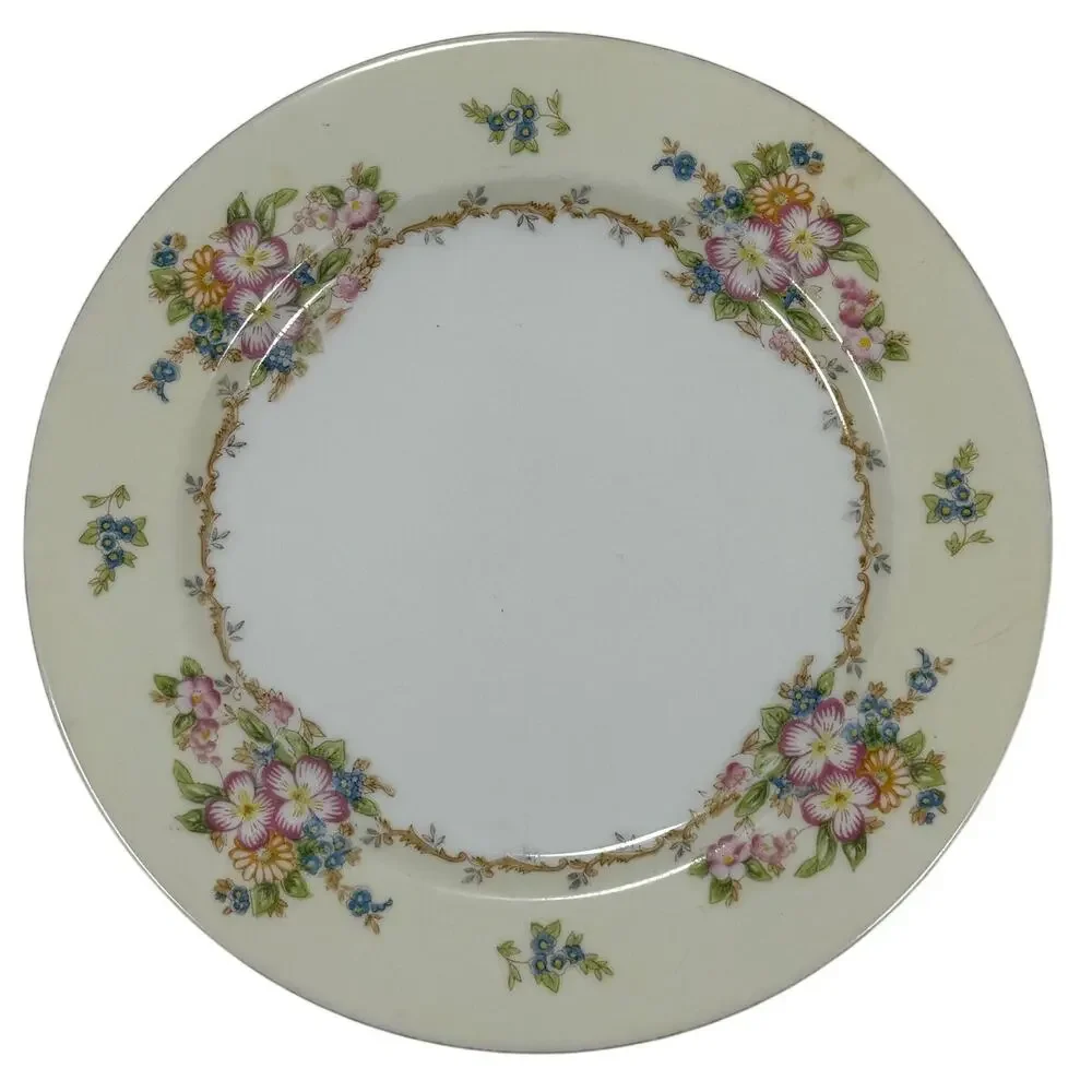 Meito China Hand Painted Floral Plates Set of 2 Japan 9.75” Vintage